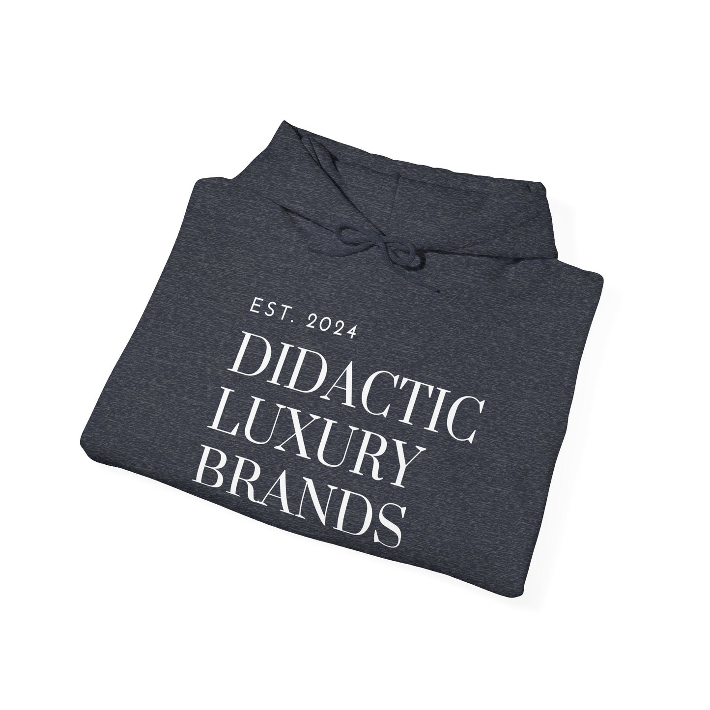 C.H. Graphic Hoodie
